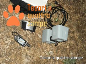 foto_trappole_lupo