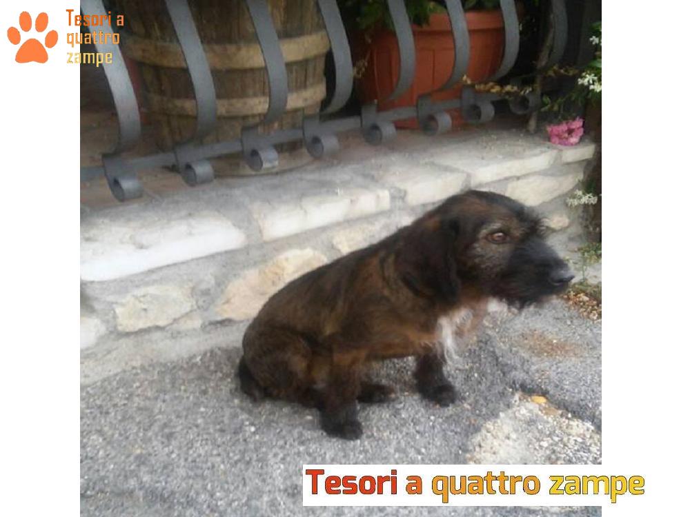Trovata a vagare sola a Limiti di Greccio
