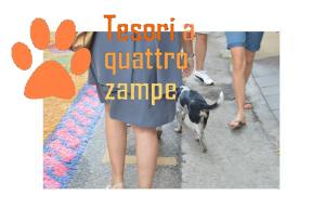 processione_ceri_2015_cane