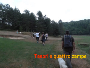 cane_passeggiata_2