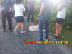 cane_piani_poggio_fidoni_carabinieri