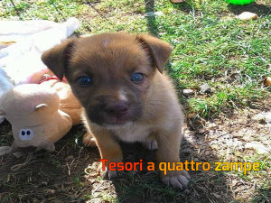 cane_sky_adf