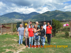 rifugio_amici_di_fiocco6