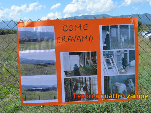 rifugio_amici_di_fiocco_28