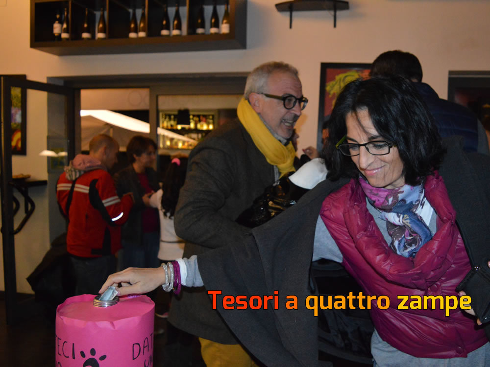aperitivo_beneficenza_amici_di_fiocco19_2015
