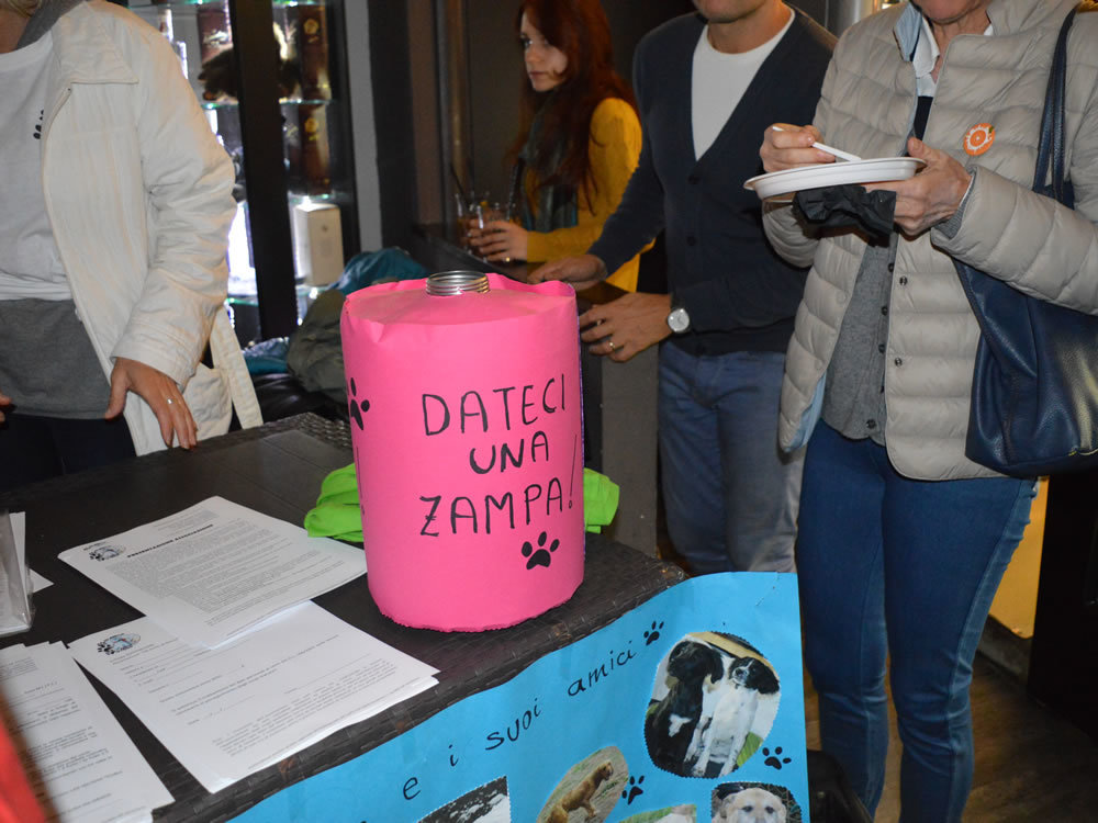 aperitivo_beneficenza_amici_di_fiocco8_2015