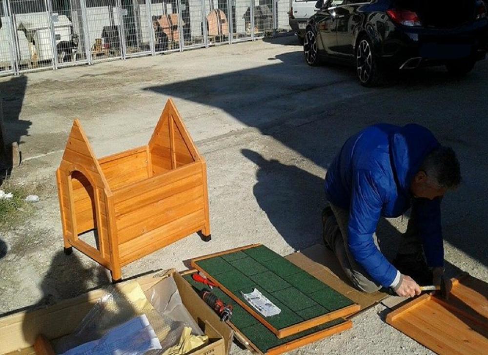cane_cuccia_regalo_canile_sanitario_adf2