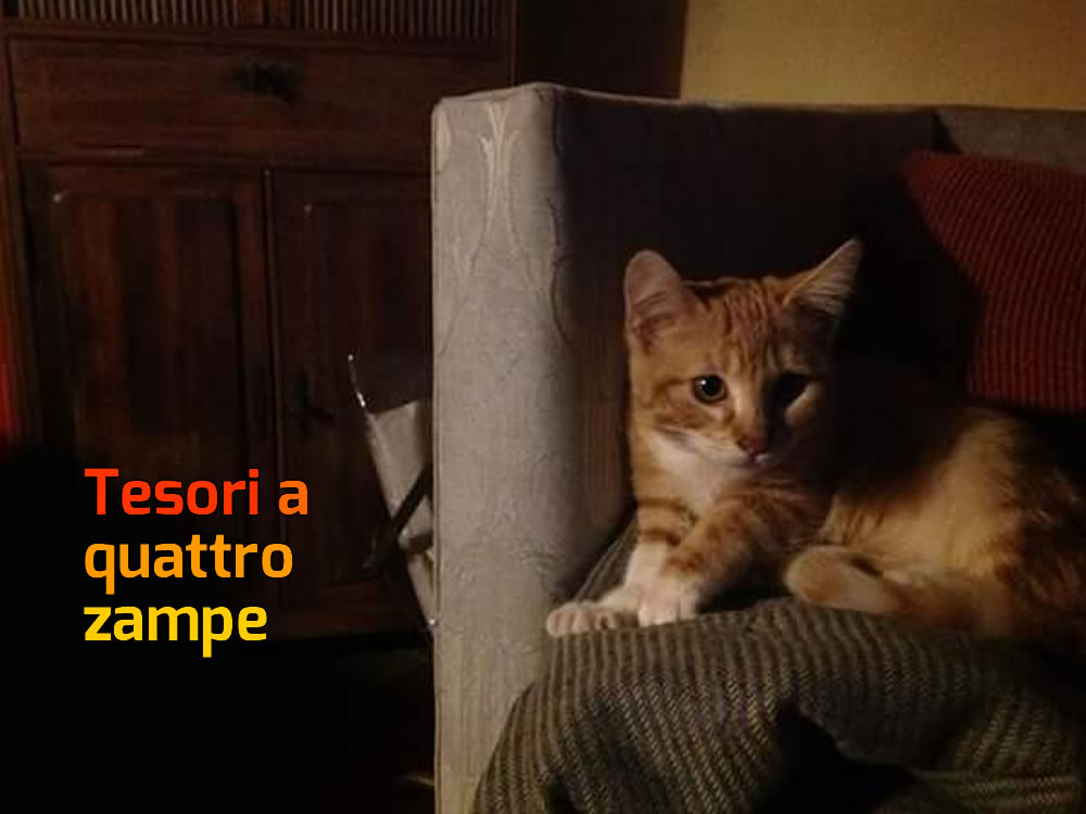 Un ping pong con lieto fine per Coraline
