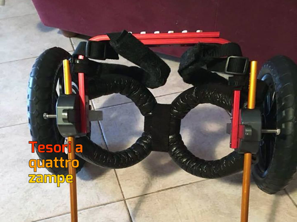 carrellino_cane_disabile2