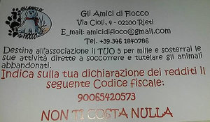 5X1000_amici_di_fiocco