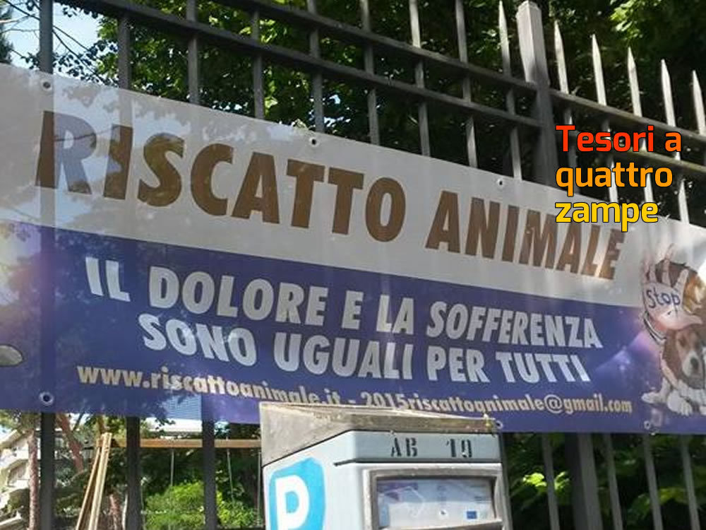 maria_spenk_protesta_roma_contro_yulin_2016_5