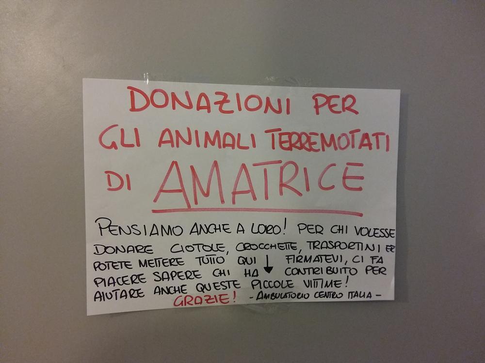 cuccia_pifani_terremoto_amatrice_3