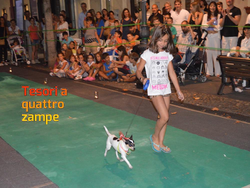 giornata_da_cani_2016_10