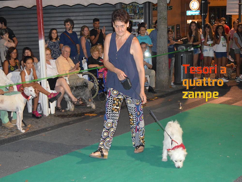 giornata_da_cani_2016_11