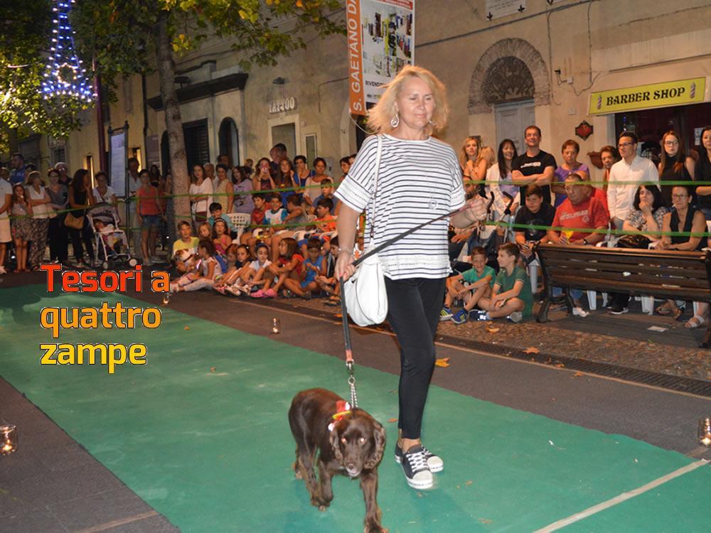 giornata_da_cani_2016_16