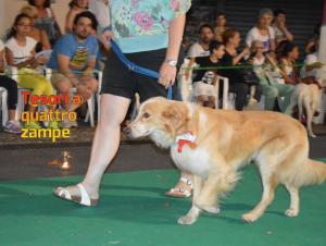 giornata_da_cani_2016_17