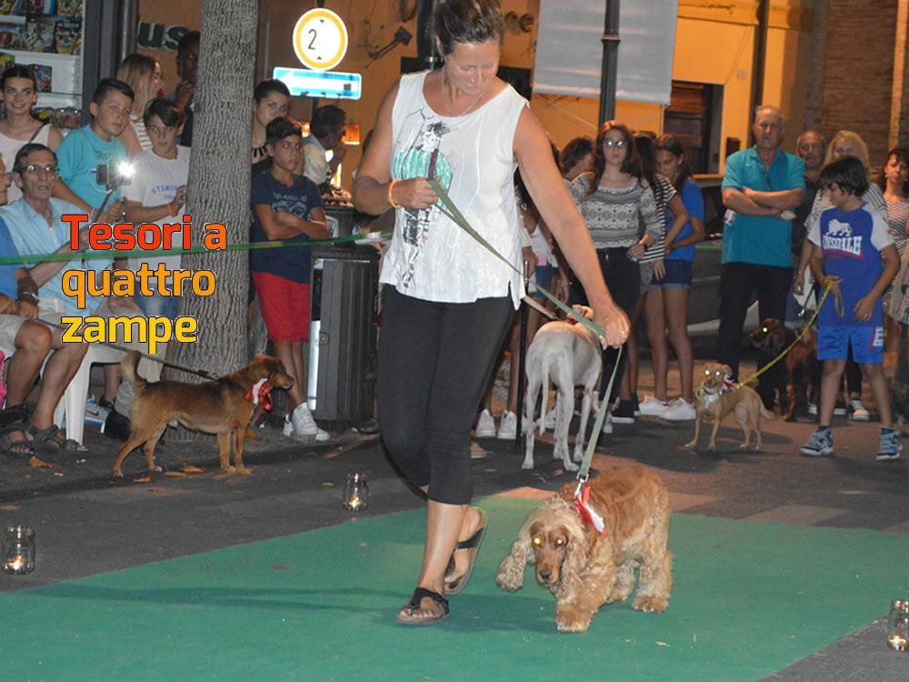 giornata_da_cani_2016_18