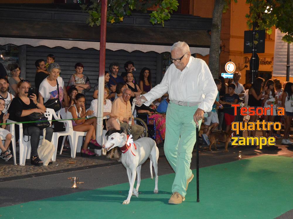 giornata_da_cani_2016_19