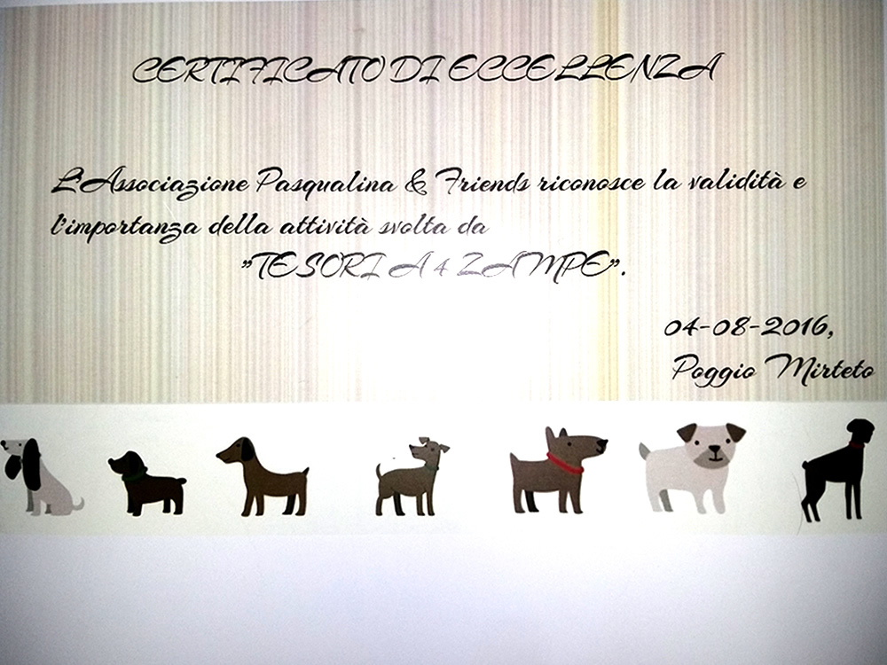 una_giornata_da_cani_22_certificzione_per_tesori_a_quattro_zampe
