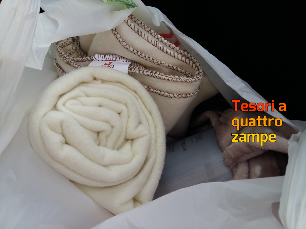 coperte_carla_francia_donate_2