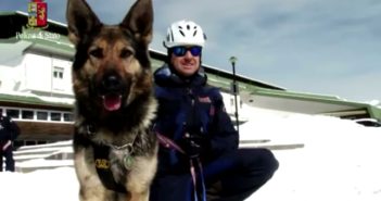 VIDEO dell’addestramento delle Unità cinofile della Polizia di Stato