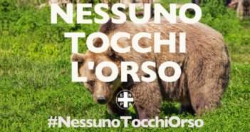 #NessunoTocchiOrso, petizione Enpa supera quota 30mila
