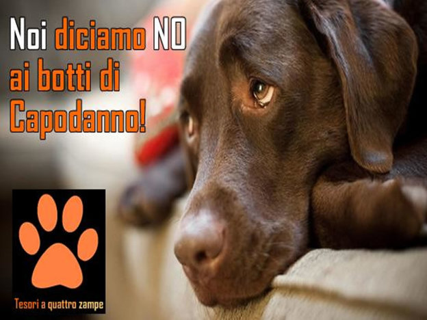 cane_56