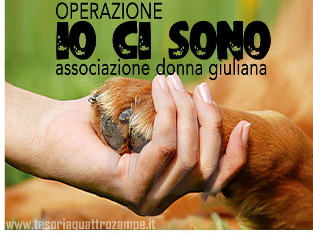 operazione_io_ci_sono_facebook