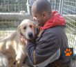 cane_Cesare_stroncone_umbria