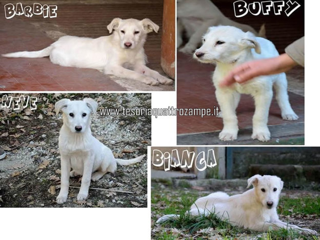 cane_barbie_mix