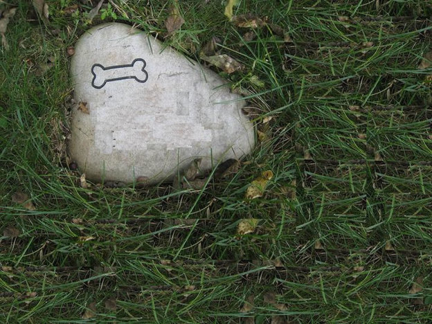 cimitero_animanli