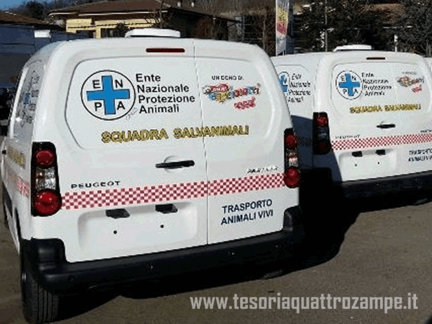 enpa_furgoni