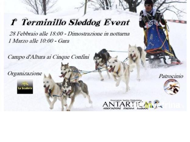 sleddog