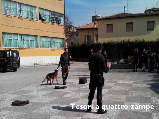 cane_pastore_tedesco_basilio_sisti