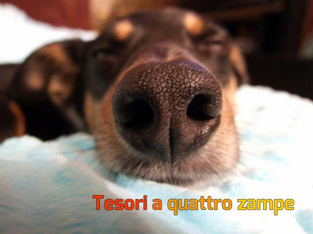 cane2