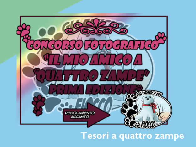 concorso_amici_di_fiocco