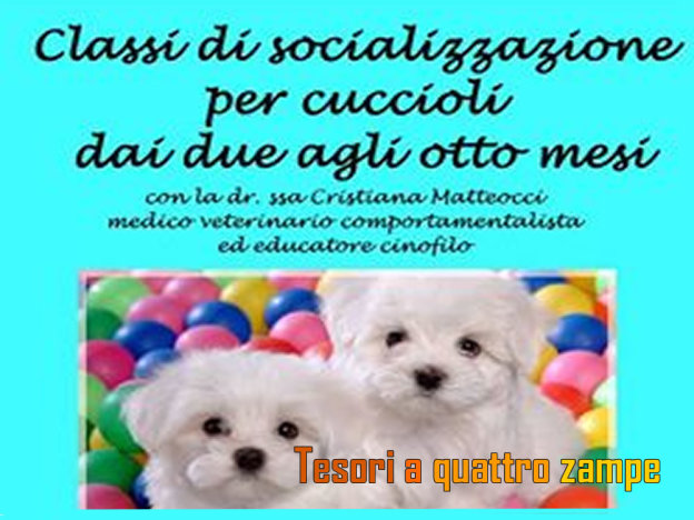 cristiana_matteocci_classi_socializzazione