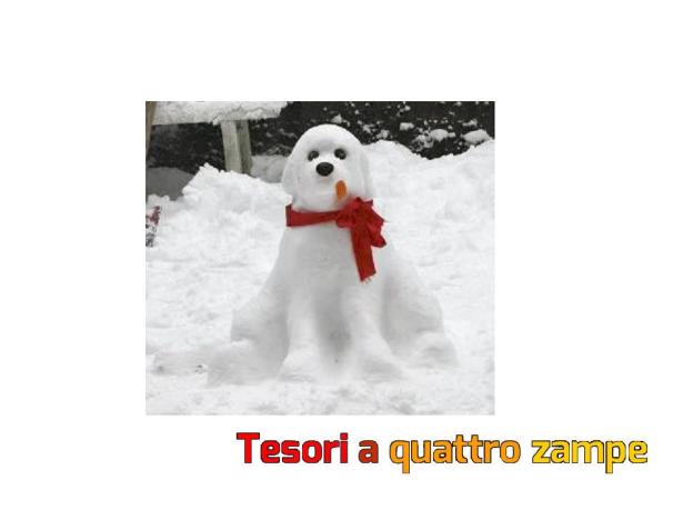 logo_amici_di_fiocco