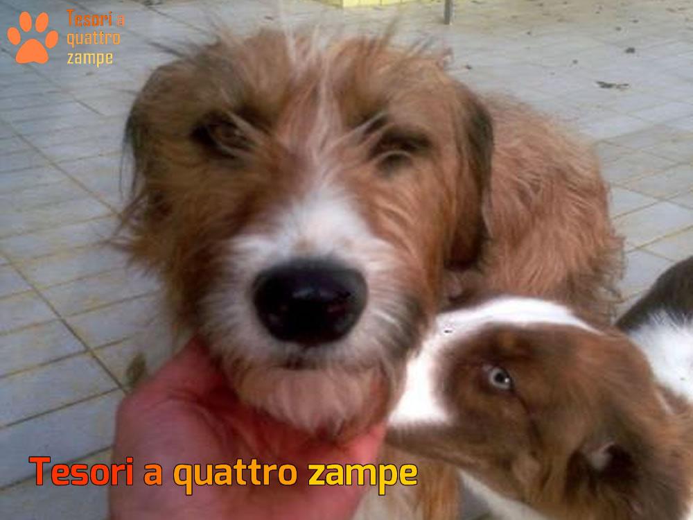 Mamma Roma e Numa, figlie dei sette colli