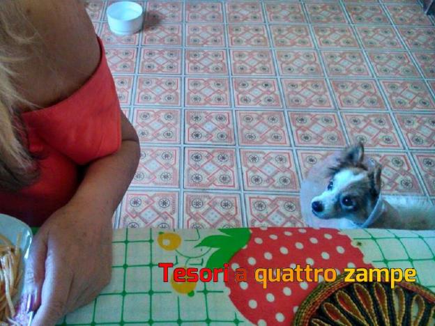 cane_frenk3