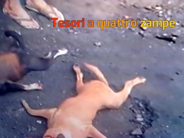 foto_yulin