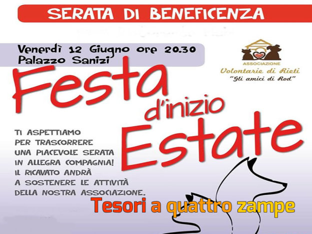 locandina_volontarie_di_rieti_festa_beneficenza