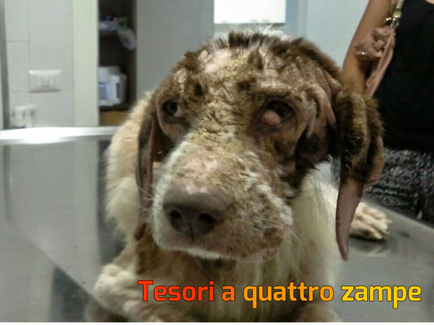 cane_lucky_strike