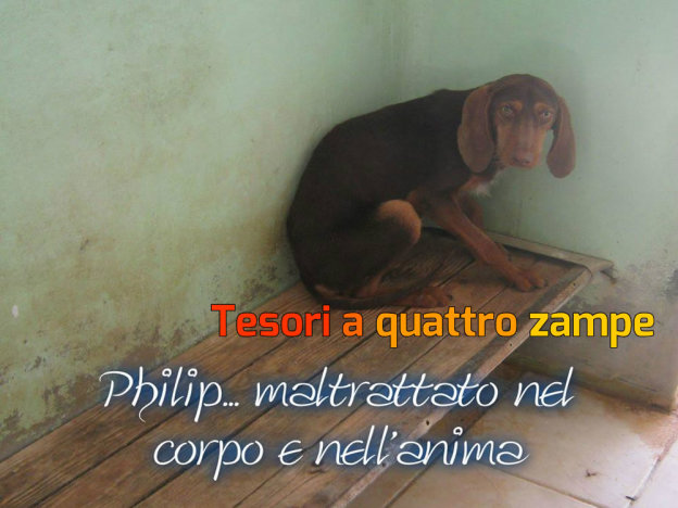 cane_philip_enpa