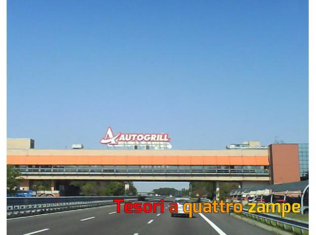 cani_autogrill
