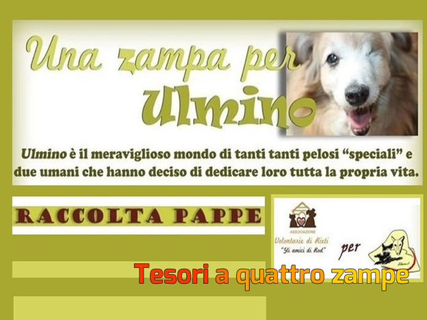 una_zampa_per_ulmino