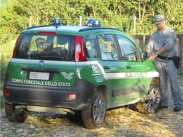 forestale_cane_tortora_segragati