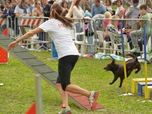 foto_animaliamo2_2015