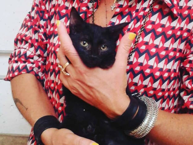 gatto_nero_nadia_paranese