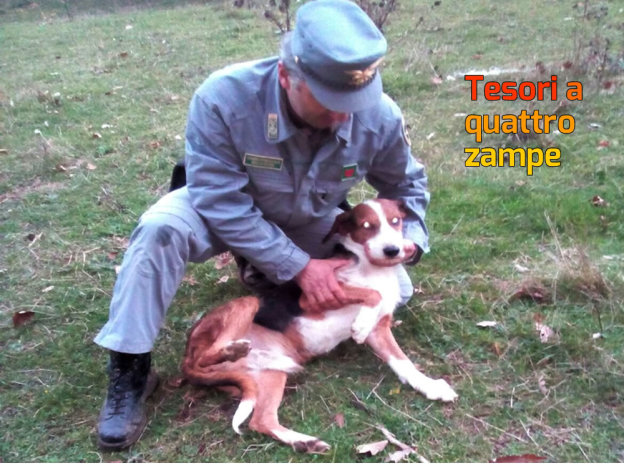 CFS_forestale_cane_istrice2